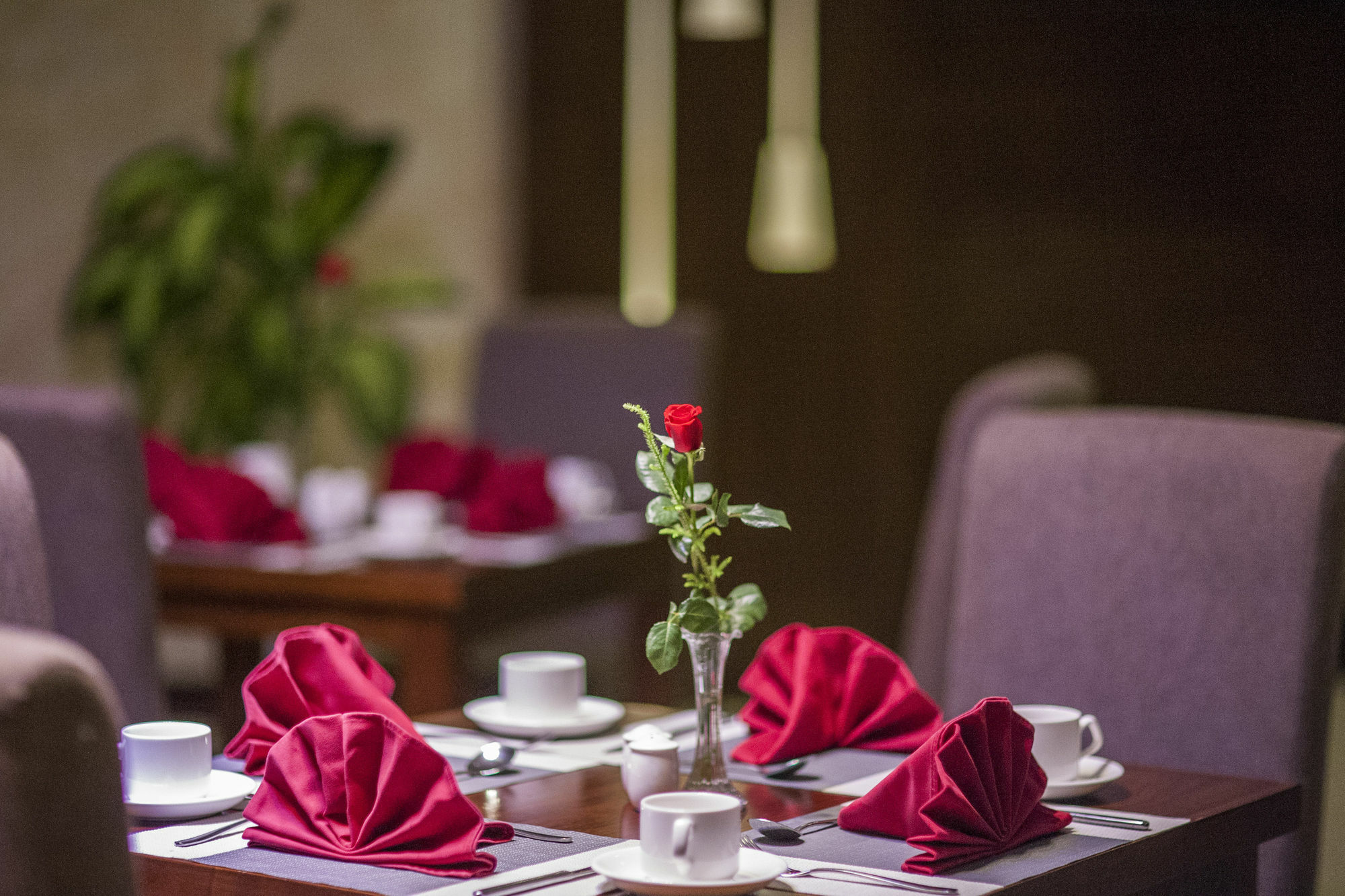 Muong Thanh Grand Quang Tri Hotel Exterior foto